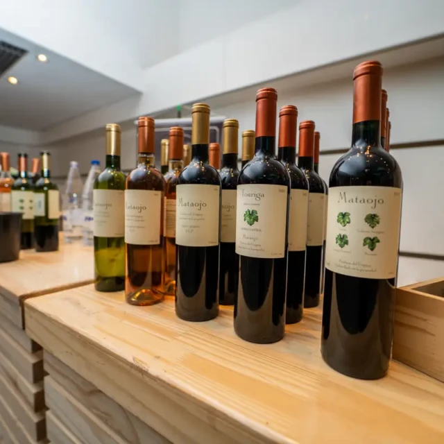 Público e experiência no Na Trilha do Vinho.
