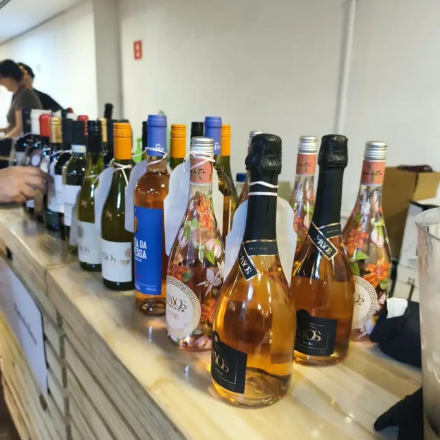 Público e experiência no Na Trilha do Vinho.